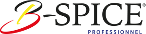 Bspice